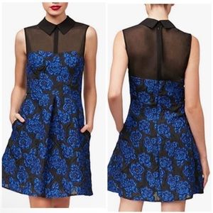 Betsy Johnson Retro Black Royal Blue Jacquard Rose Collared Party Dress